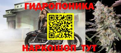 гашик Лесосибирск