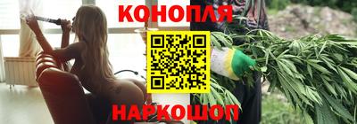 гашик Лесосибирск