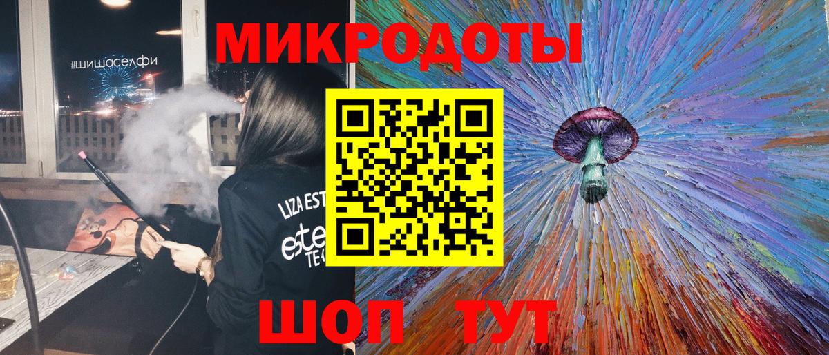 Псилоцибиновые грибы Psilocybine cubensis Дубна
