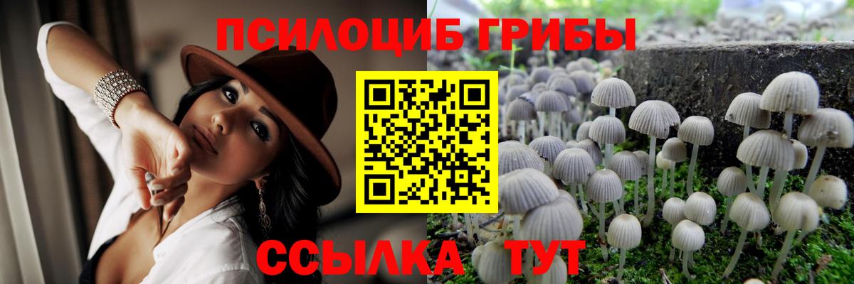 Галлюциногенные грибы Cubensis  цена наркотик  Галлюциногенные грибы MAGIC MUSHROOMS  Дубна  Вход с VPN 